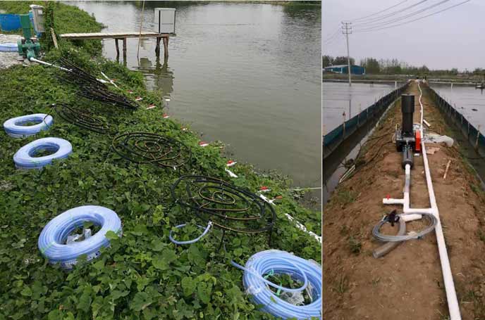 水產養殖中羅茨鼓風機曝氧氣作用效果明顯好